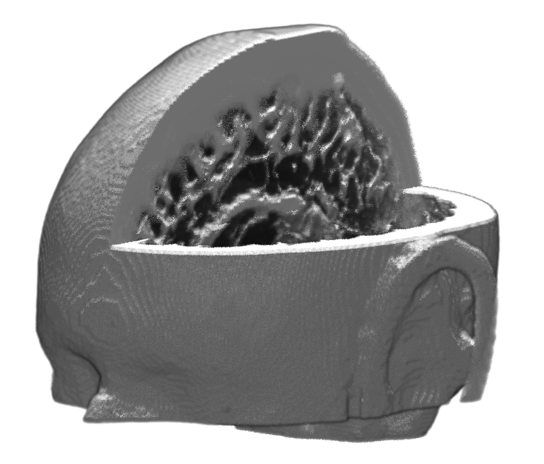 Premodel image.