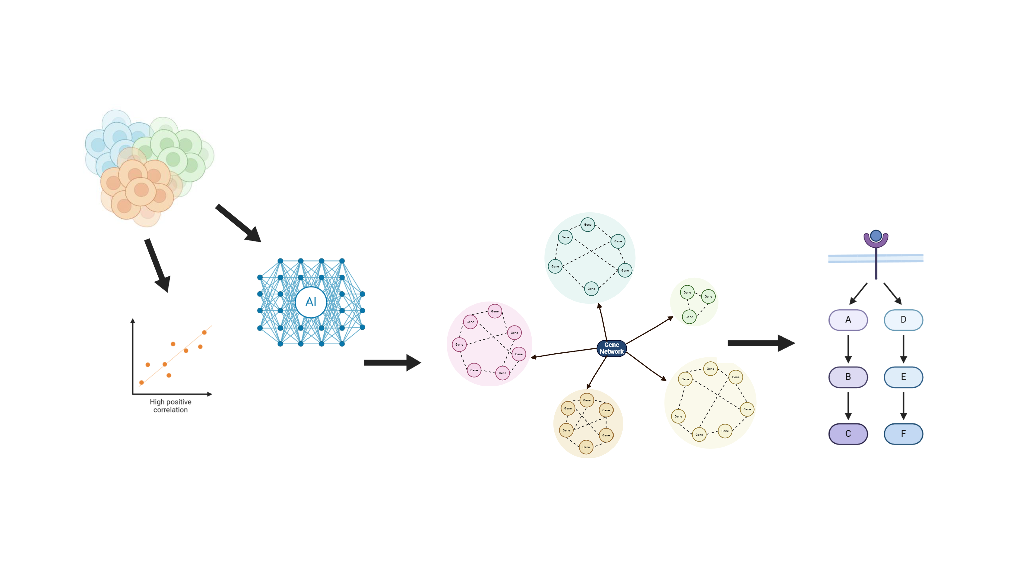 Gene Network Analysis