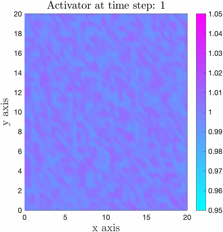 Turing Patterns