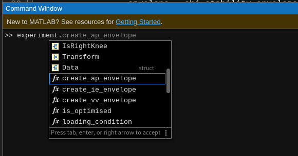 Matlab's autocomplete shows only appropriate options for Experiment