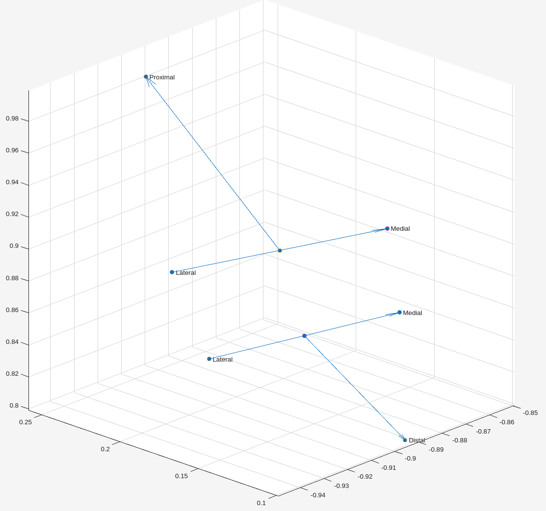 Visualisation of the coordinate system created with optical tracking cameras