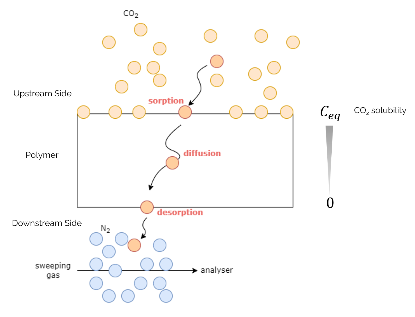 Permeation Experiment
