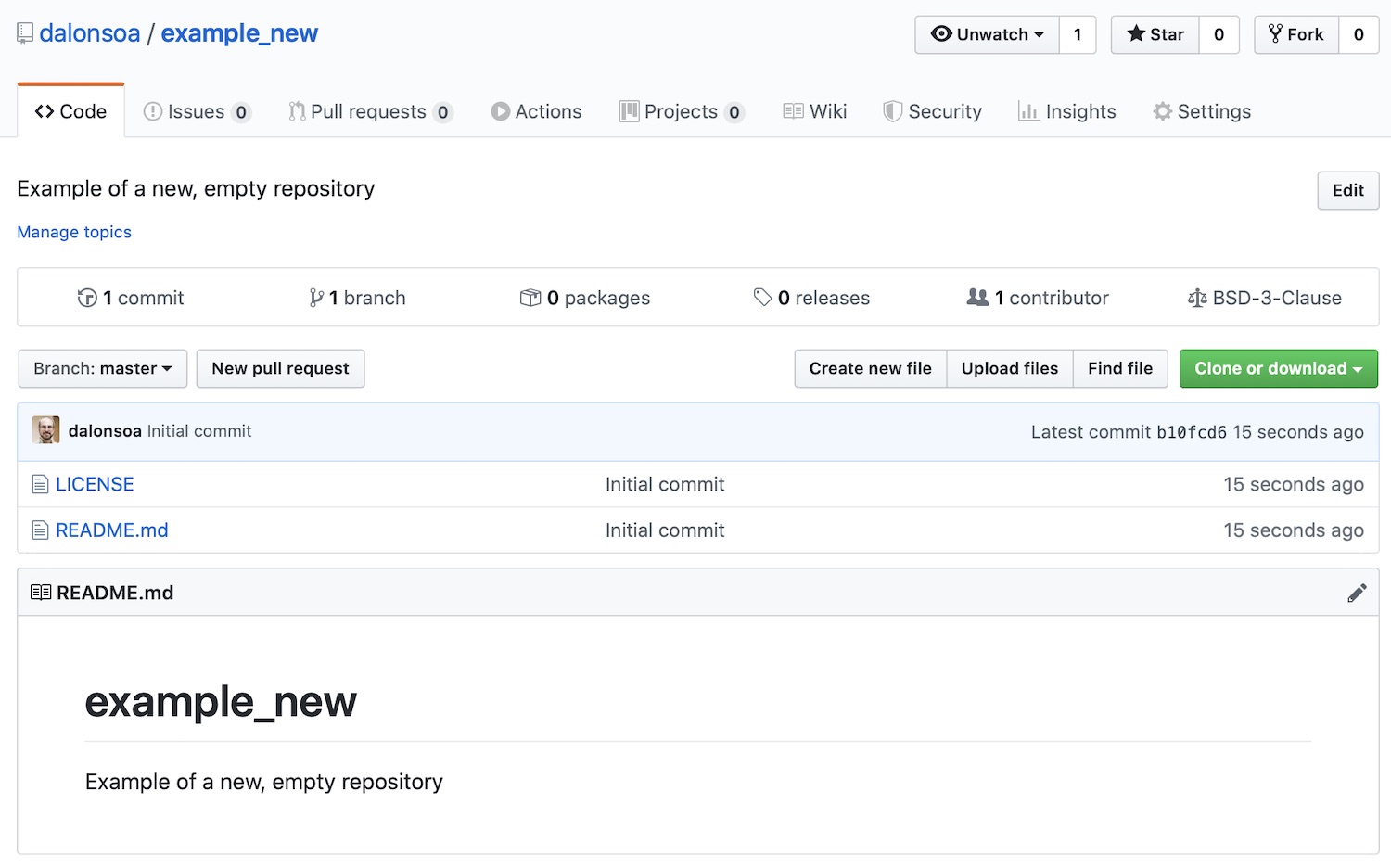 Screenshot of the new repository in GitHub